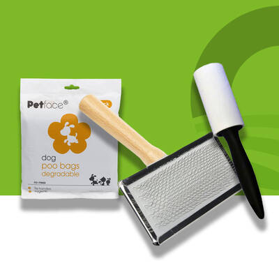 Cleaning and Accessories