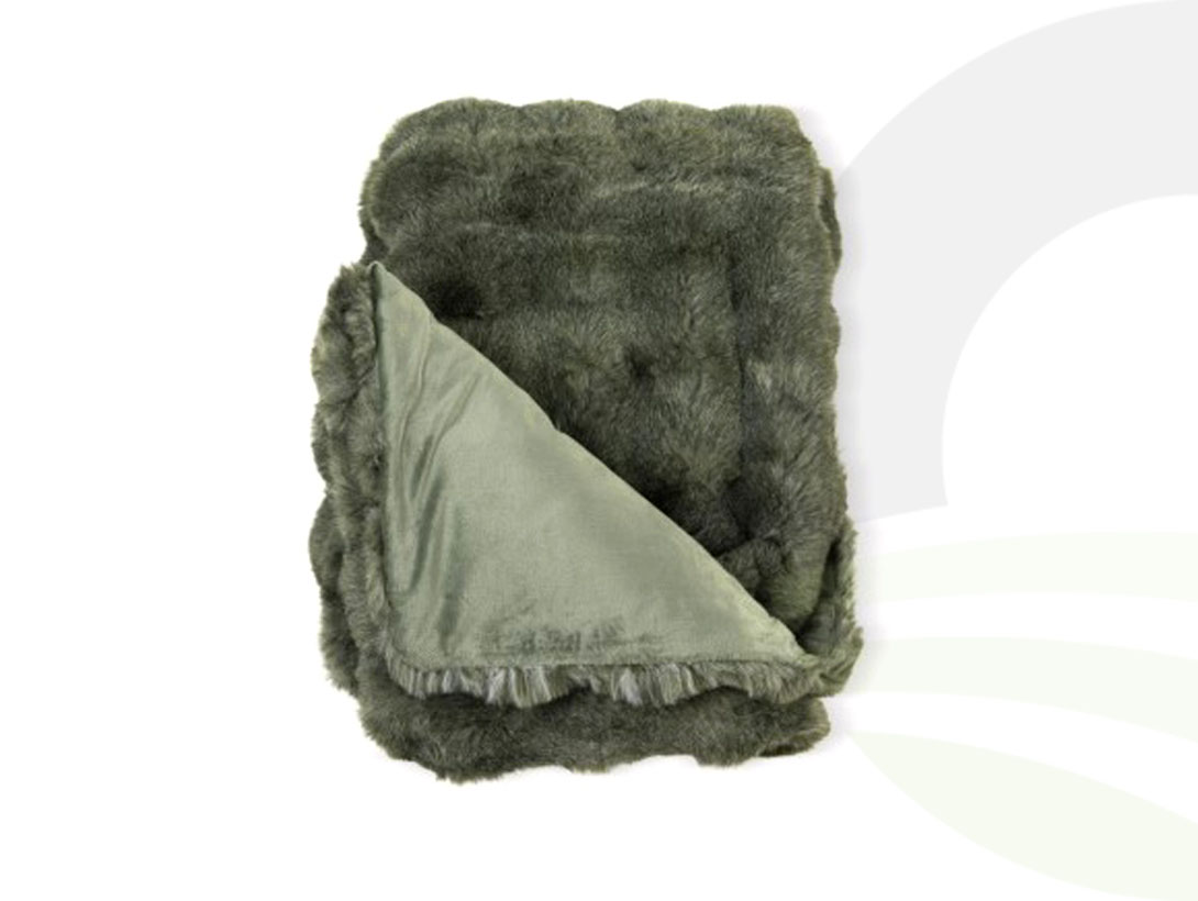 Alternate -1