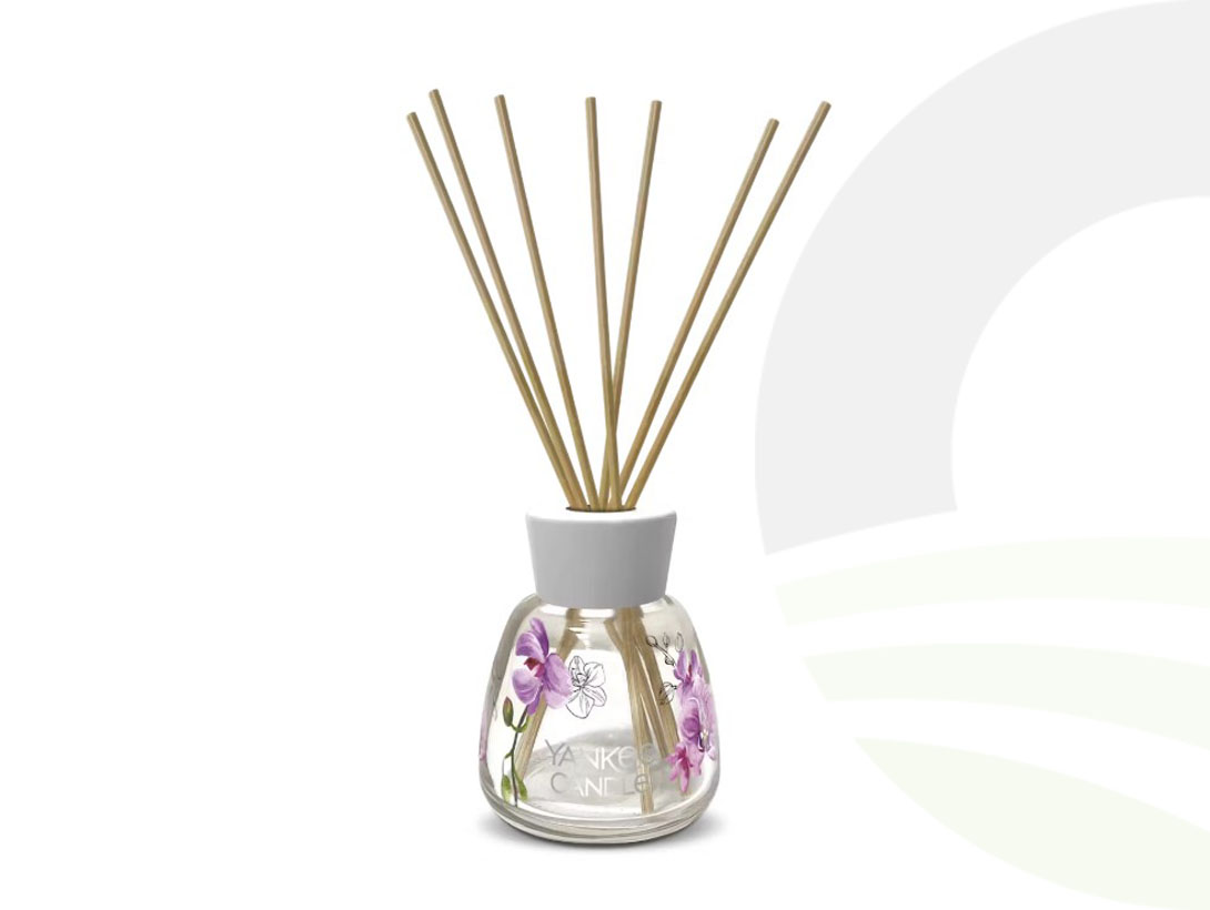Main