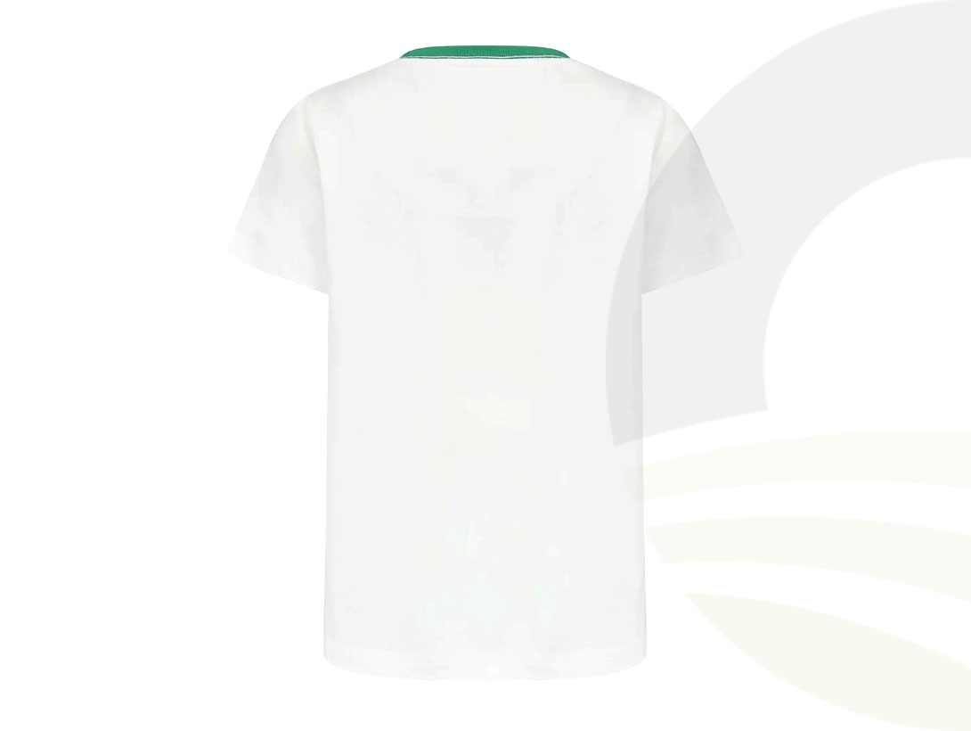 Alternate 1