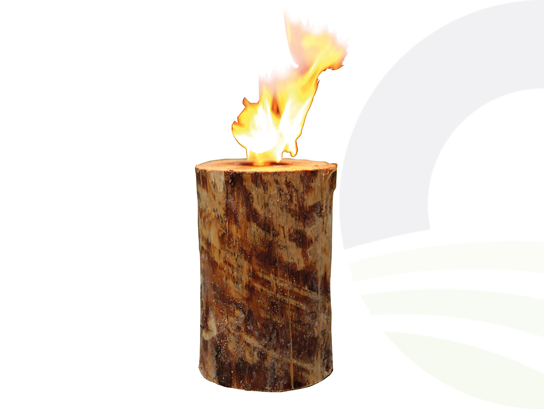 Quest Eco Log Candle