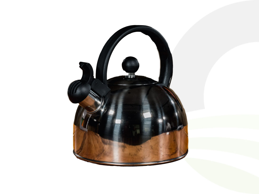 Whistling Kettle 2L Stainless Steel  (Colour: Stainless Steel)