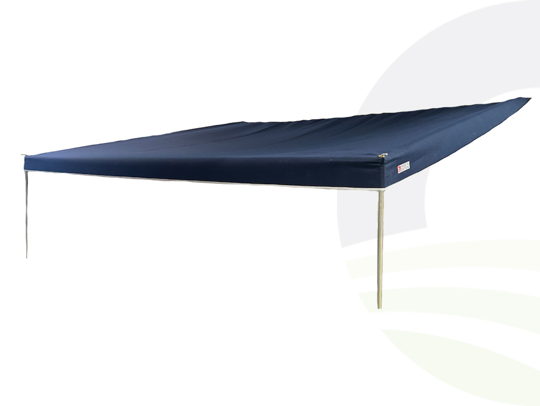 Alternate -1 Alternate -1