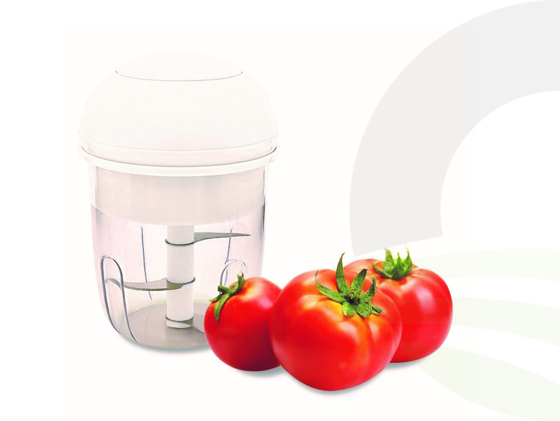 Push And Chop Mini Electric Chopper