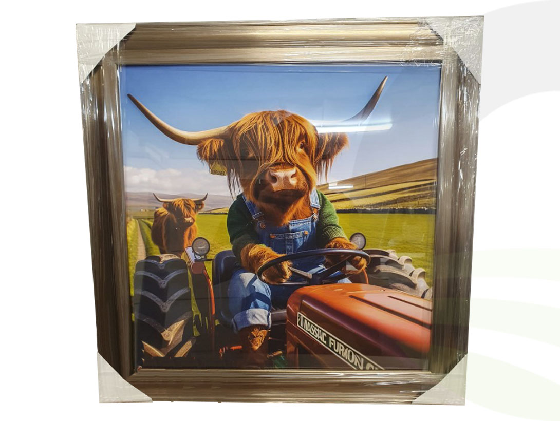 Cow On A Tractor