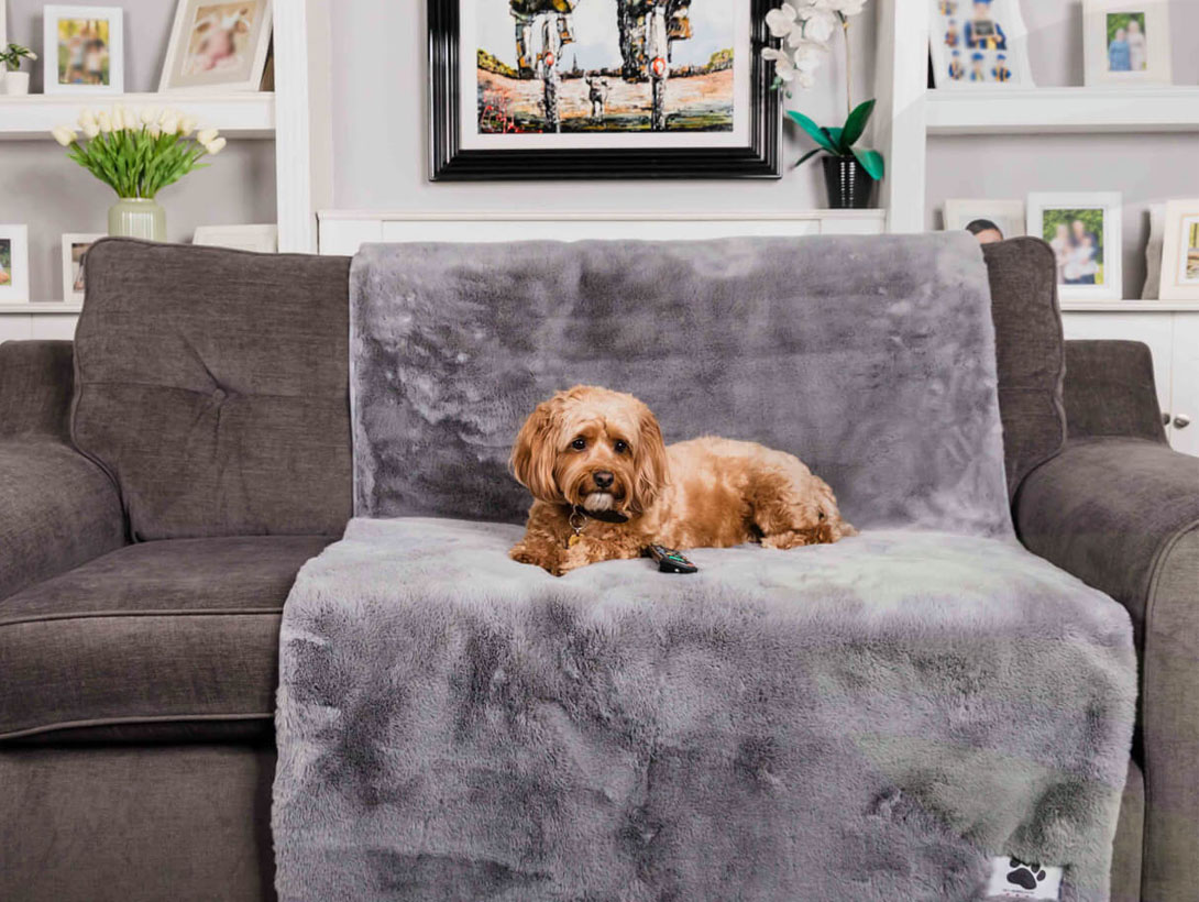 Pet Rebellion Faux Comfy Cover Grey