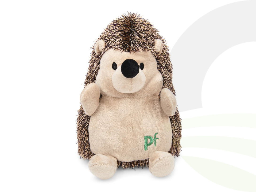 Petface Heston Hedgehog Plush Dog Toy