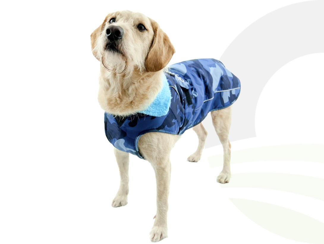 Dog V3 Blue Camo/Blue Large (Size: Large)