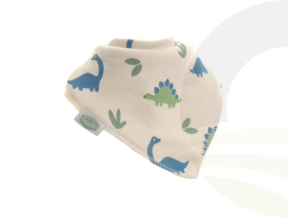 Dino Print Bib