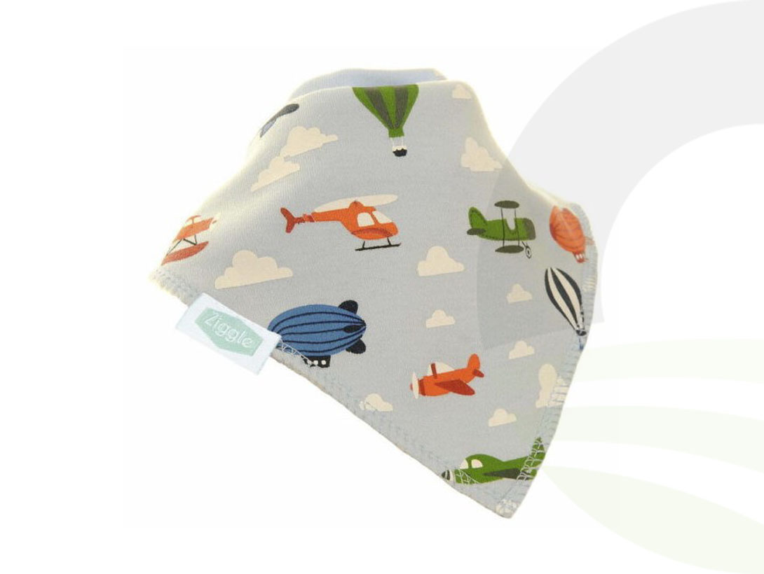 Airplanes Bib