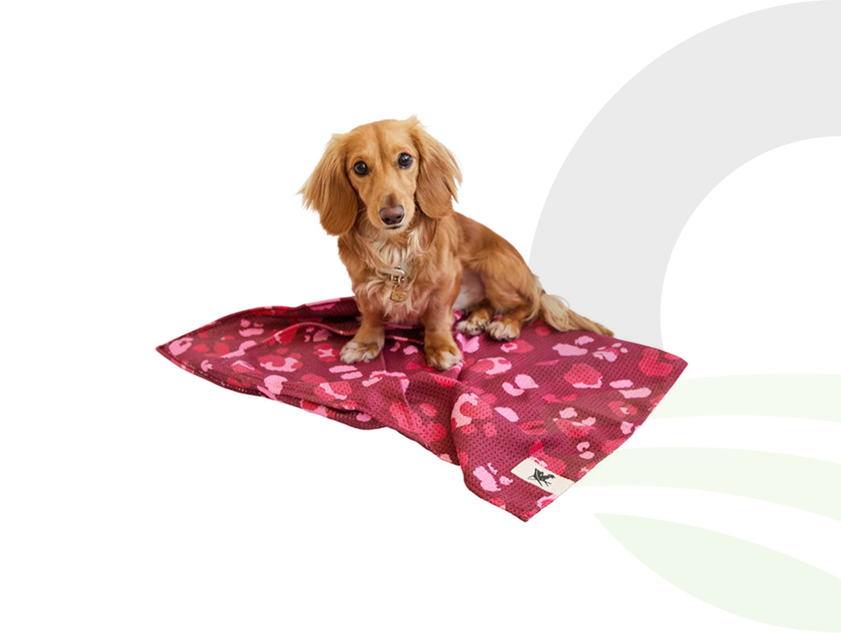 Dock & Bay Pink Paws Medium Dog Towel (Size: Medium)