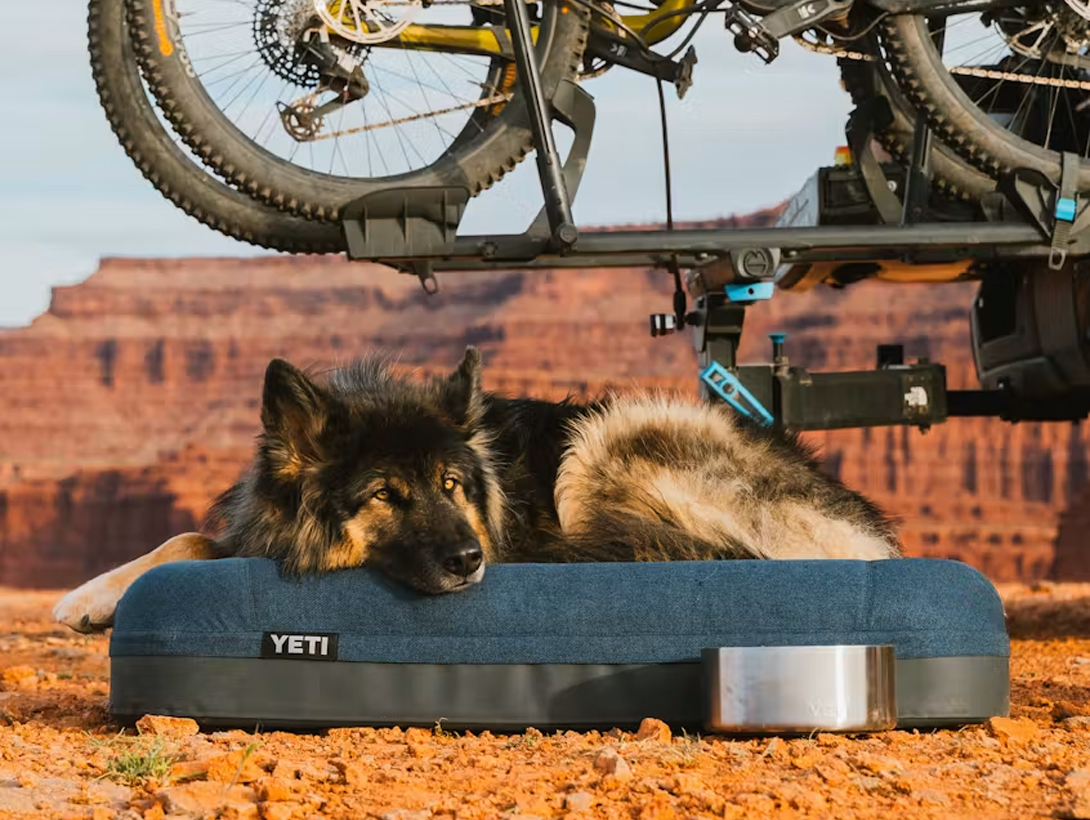 YETI Boomer Dog Bed Large Navy